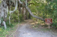 a bike trailhead