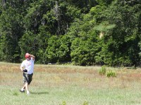 launching a short-wing