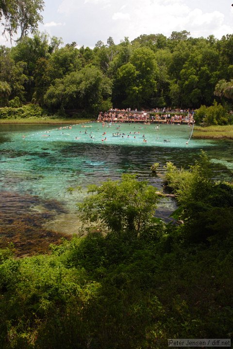 Rainbow Springs