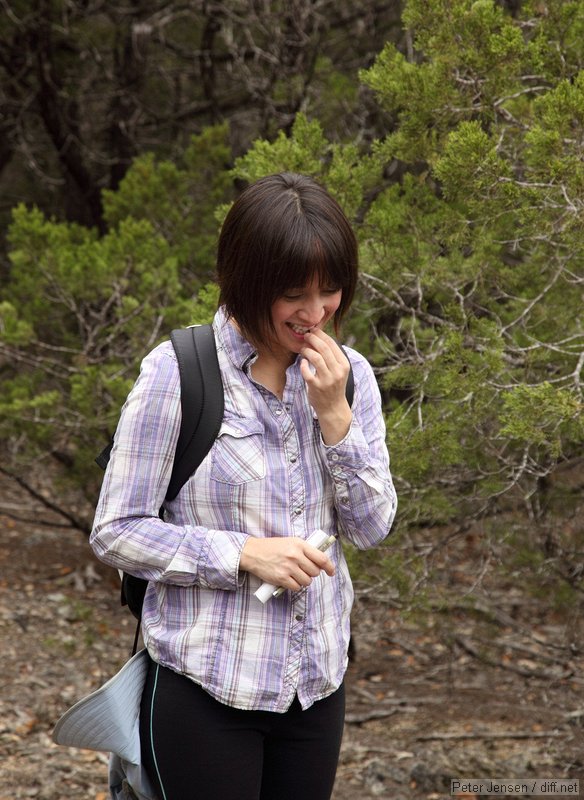 sampling mountain juniper berries