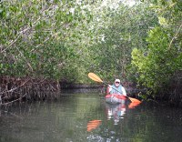 kayaking with Bill at the Thousand Islands