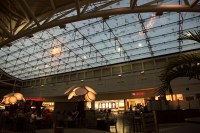 crazy birds on the roof of the terminal at MCO