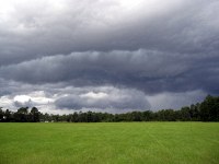 the approaching storm