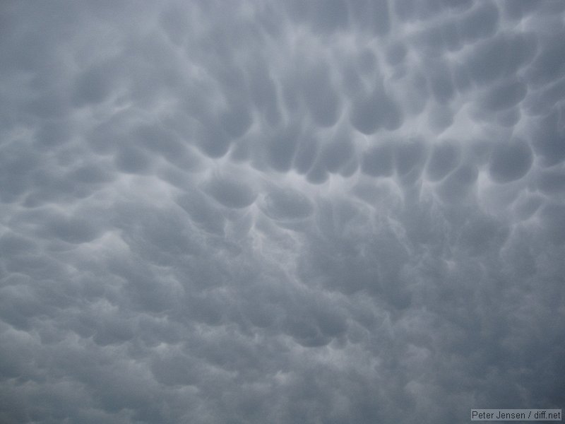 mammata clouds