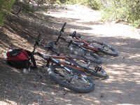 mountain bikes