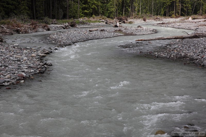 Carbon River