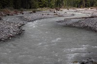 Carbon River