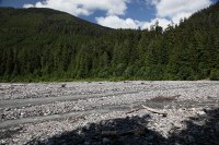 along the Carbon river