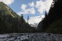 Carbon River with Rainier lurking in the background