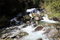 nice stream near the Carbon River camp