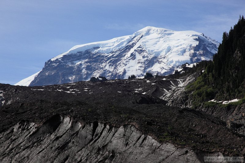 Carbon Glacier and Rainier