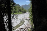 part of the Carbon River