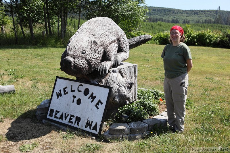 Laura and the Beaver, WA mascot