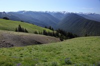 view from Hurricane Ridge visitors center