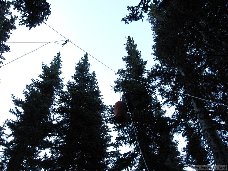 bear cable setup at Gladys lake