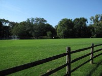 nice field along the trail