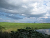 along the Upper Tampa Bay Trail