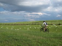 Rob chases birds on the Tampa Bay Trail