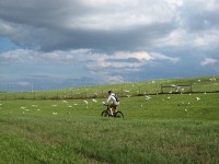 Rob chases birds on the Tampa Bay Trail