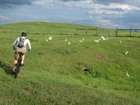 Rob chases birds on the Tampa Bay Trail