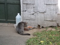 Murphy enjoys a snack