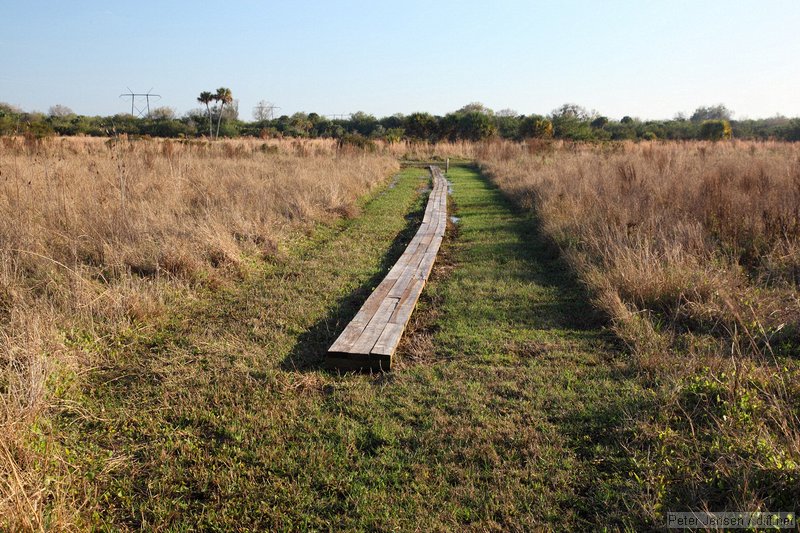 boardwalk