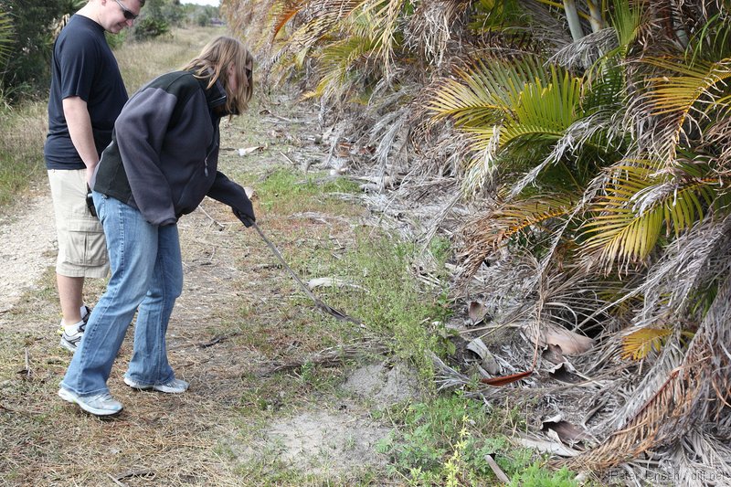 Crystal taunting the ants