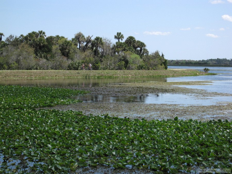 bikers at the Orlando Wetlands Park