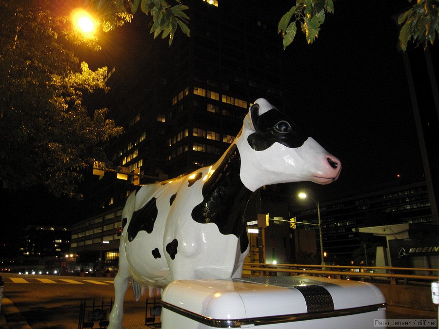 yo know, that cow they park down in Rosslyn