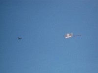 flying Freebirds ad