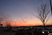 Costco sunset