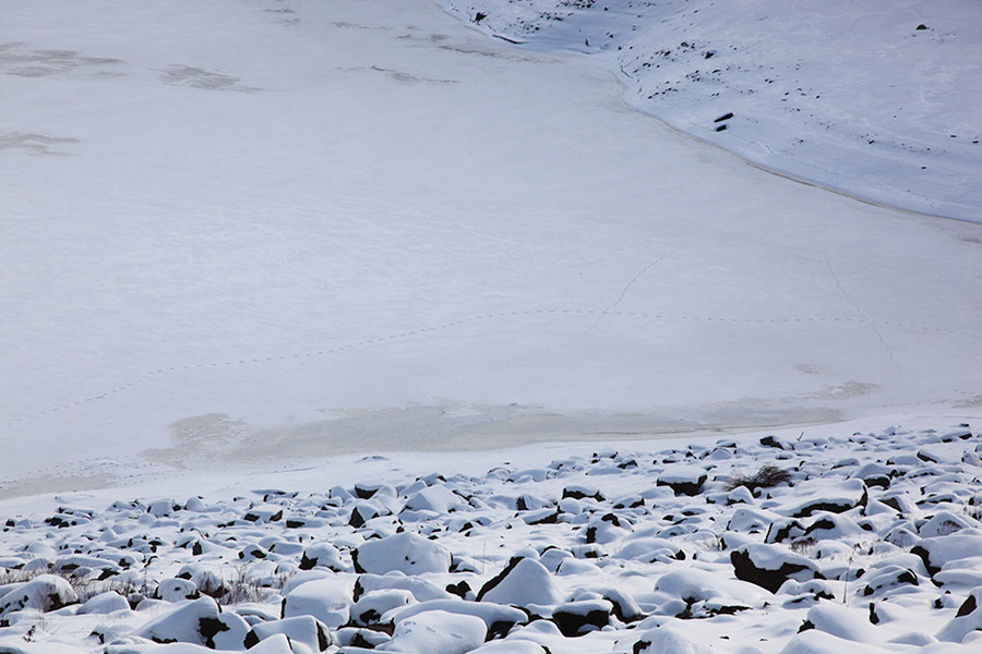 prints on the snow of the Youghiogheny River lake