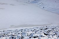 prints on the snow of the Youghiogheny River lake