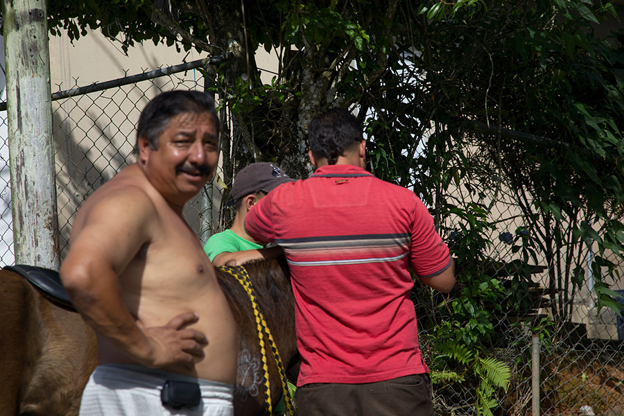 guys doing something with a horse