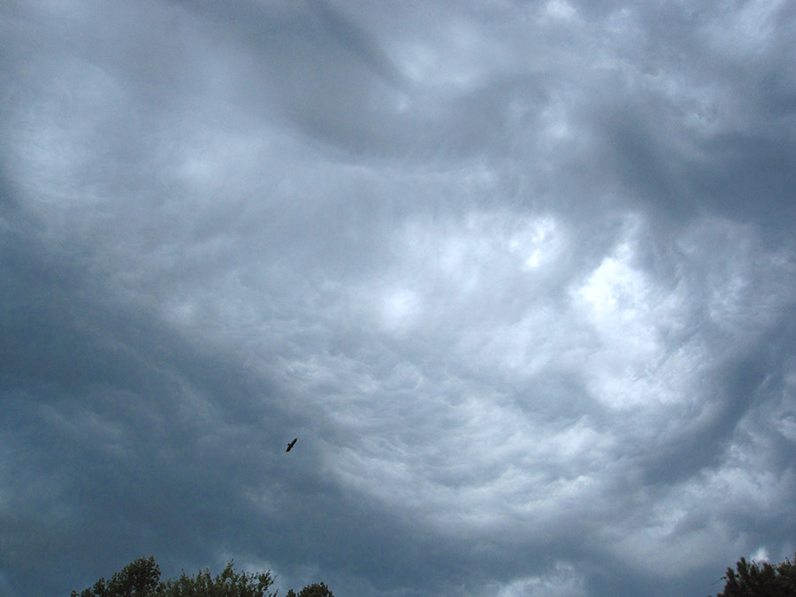 early morning storm clouds kept things cool for a bit