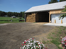 lots of hay