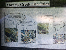 Abrams Creek Fish Tales (photo 1/3)