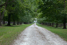 awesome driveway