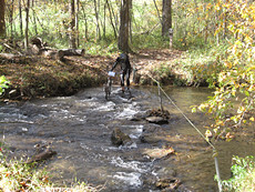 I got my feet soaked here; one of about three solid creek crossings. Spare socks and a good wringing made all the difference.