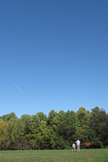 perfect day for a kite