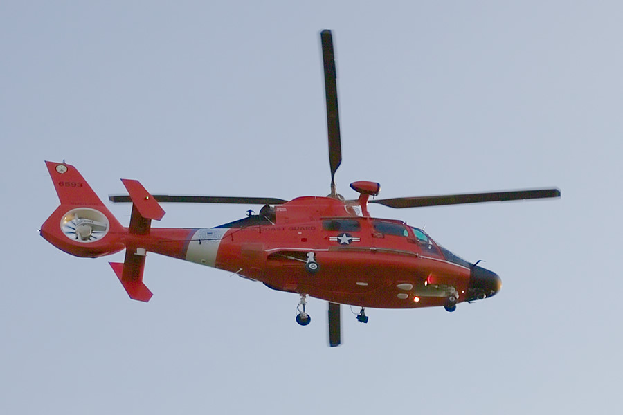 USCG 6593 Dolphin