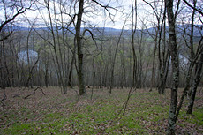 one of the Paw Paw bends from the tunnel trail