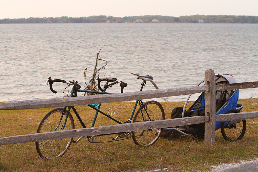 cool tandem/kid carrier