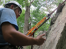 rappel relocation and backup demo