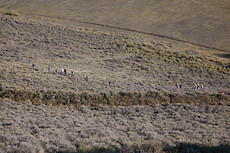 the other part of the group on a lower trail