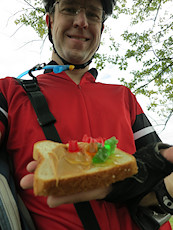 breakfast of champions - bread, peanut butter, honey, and gummy bears