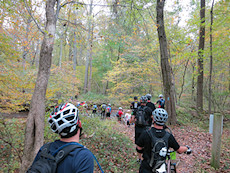 traffic jam at the creek