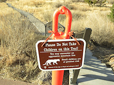 Chisos Basin sign