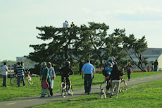 kids in the plane watching tree at Gravelley Point