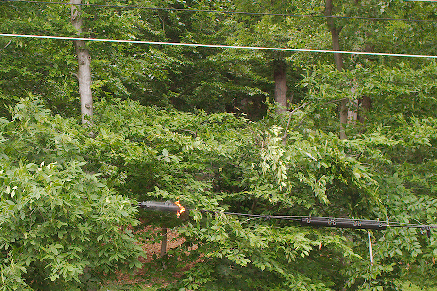 fire started by the failed power line